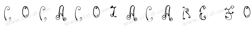 COCACOLACARE FONT KA字体转换